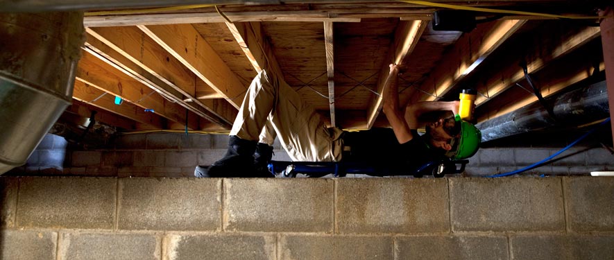 St. Catharines, ON mold removal