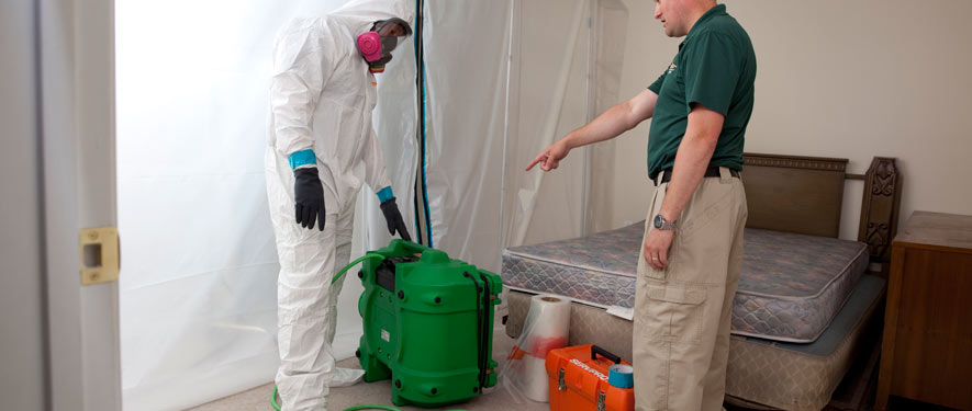 St. Catharines, ON mold removal process